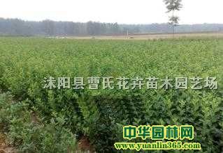 1-5֦l(wi)ì1-l(wi)ì