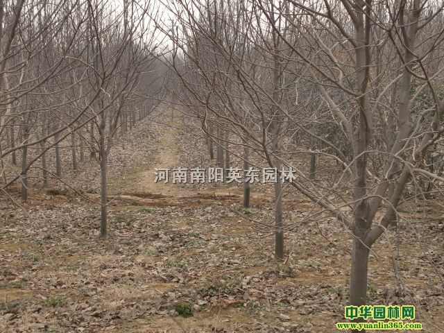 衢SǗɽǡ١Ϟtmmľ