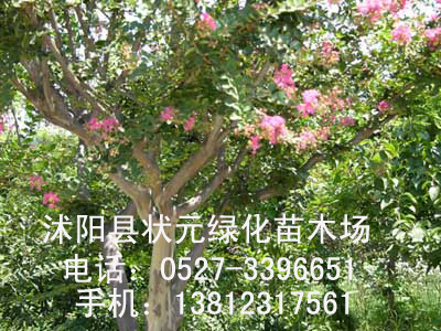 Ԫ@-~Ůؑt~СءS