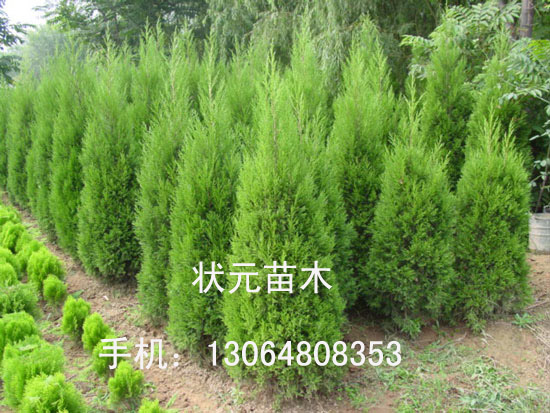 ľ---u򡢞䁵ذu