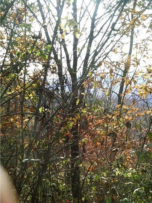 ɼǗǡtɼɽ~ɼ