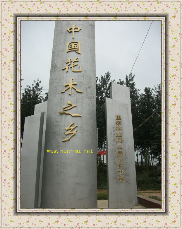 Ж|N,_hɷN,ѻN,𻨷N,SBľ,S,