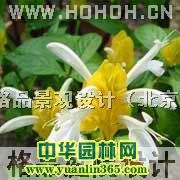 格品別墅庭院設計