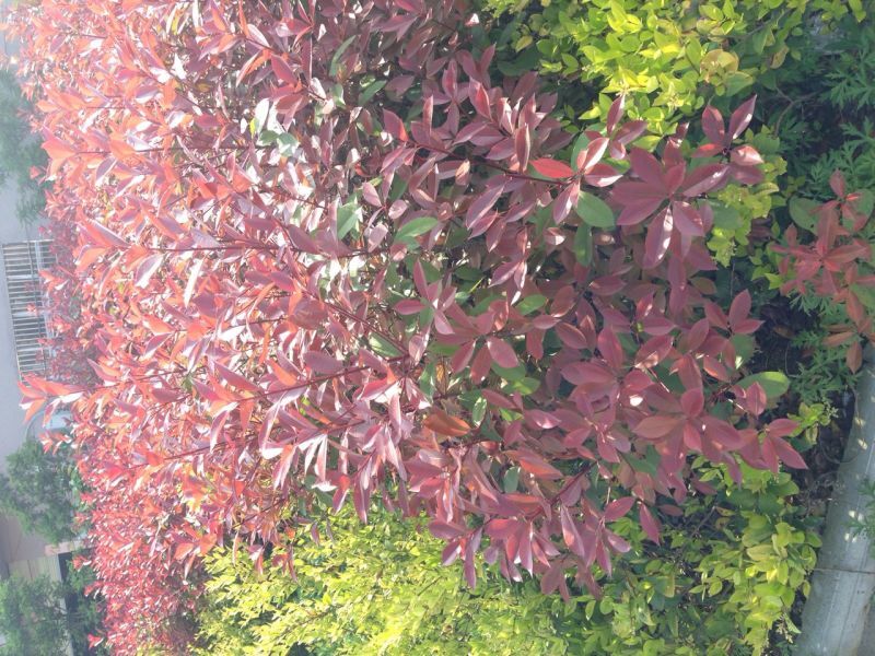 3ֲ軨ѻ24áʯ1.2-1.890