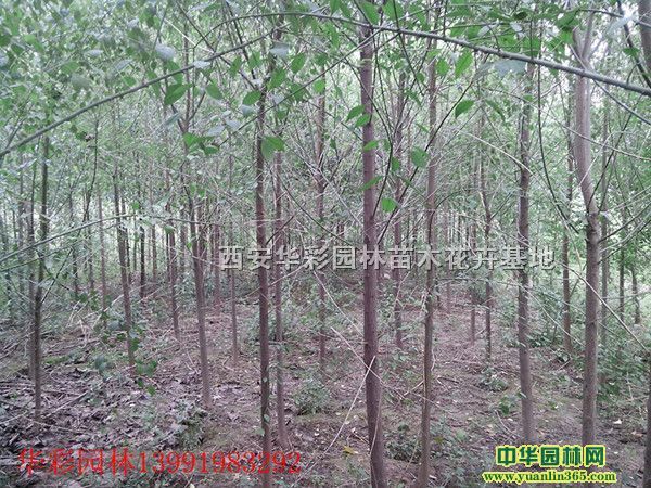 3-4-5-6-8-10zdľ100000