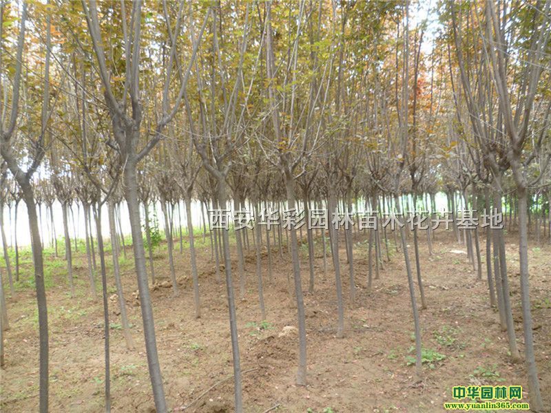 5-6-7-8ֽzľ~Ůؑ؃rُ̎