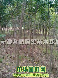 ꡢǗޱt~~Ůؑʯ骡𻨵ľ