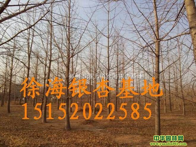 22yӘr(ji),23yӘr(ji),24yӘr(ji)