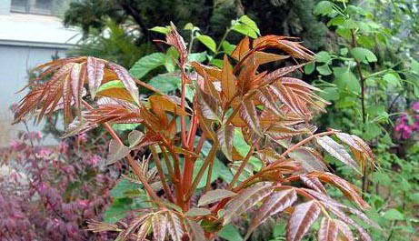 㴻㴻㴻NӼt㴻㴻㴻猣