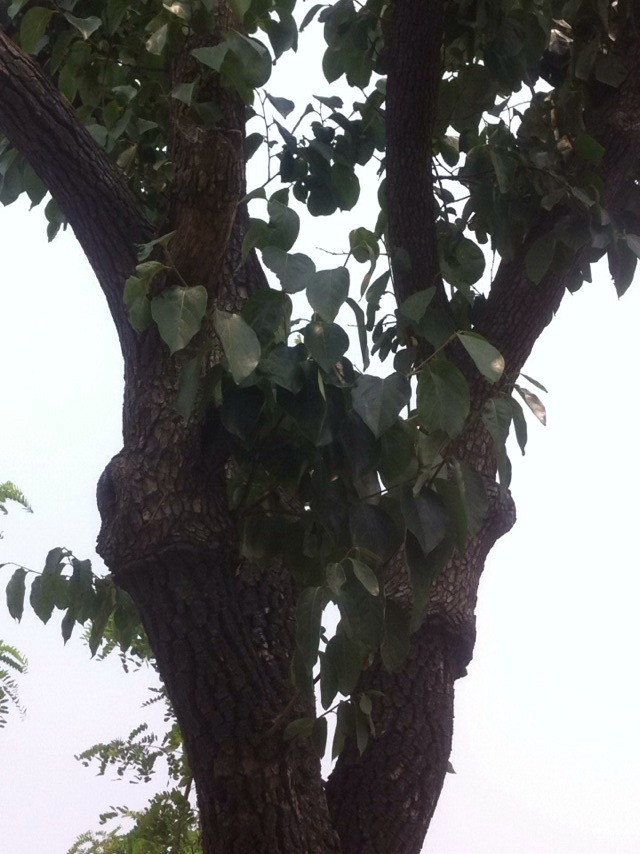 ǘ䡢m~Ůؑt~СޡRľľ