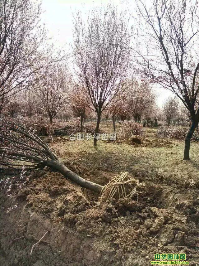 պϷa(chn)ľt~~r(ji)DƬ