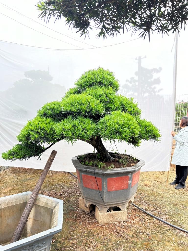 _hɃr_hlr_hɺо