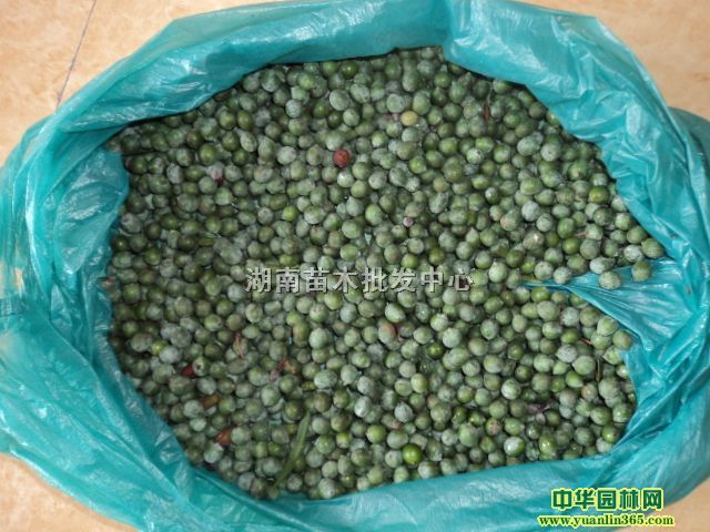 С~t~ʯ骡L~_hС硢_hɷNӡʹ𡢵