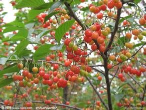 Ҙ䡢7-12֙Ҙ䡢ҎҘ