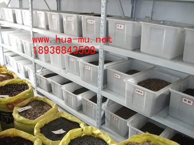 NӡľNmNܷNӡƤɷNӰϞN