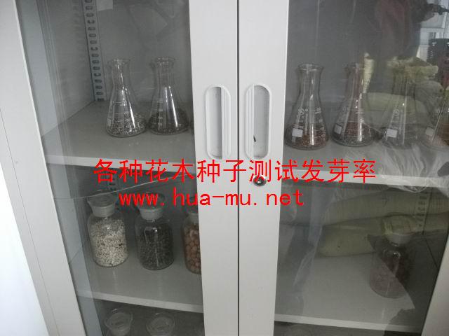 ľɷN,ľϷN,ĵN,JҷN,RɏN,RN