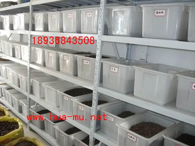 zdľN,ˮܷN,鱷N,ˮӷN,ˮɼN,ˮϞN