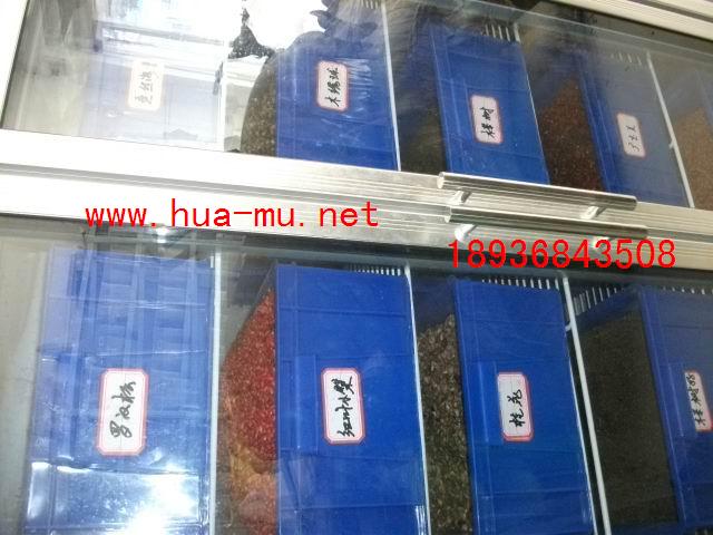 ɽϚgN,ǗN,ɼN,˨ƤN