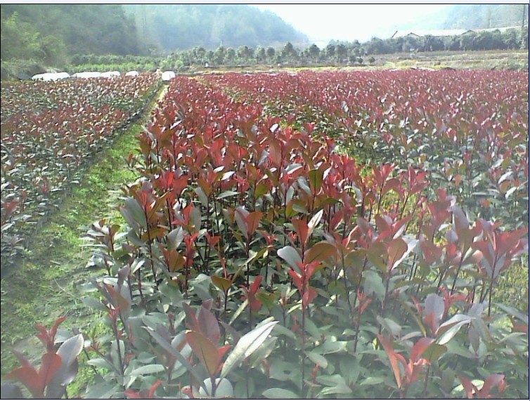 At~ʯ骡t~ʯ骡ɭŮؑļЦt^ľľ