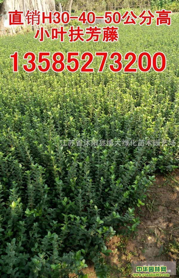 ֱNNޱ.lì....С~S.G