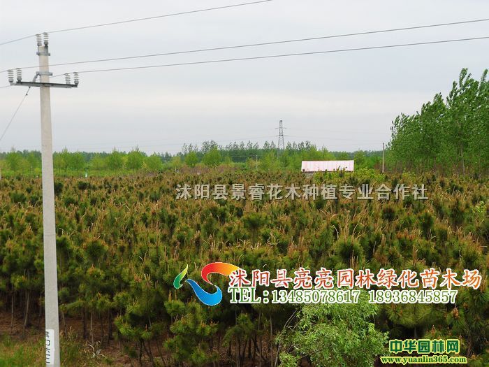 120f߶60-300ֺɡɼȰһ