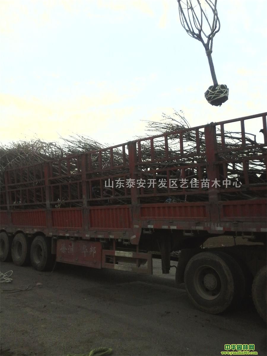 ɽ|ѻء8֙ѻ10֡12֙ѻ