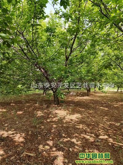 С^(q)ֲӘ̎15-18Әb܇r(ji)