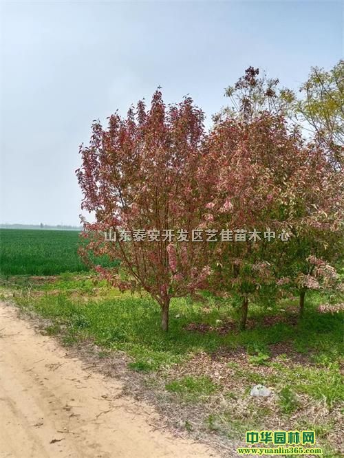 ̎ġ620Ԫ840Ԫ1080Ԫb܇r(ji)