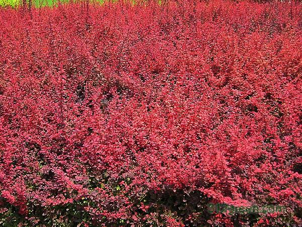 t~Сޡt~С~ŮؑС~ŮؑSľ