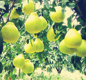 Ә(sh)С硢Ә(sh)硢Ҙ(sh)硢(sh)硢ʯ(sh)ȹ(sh)(li)С