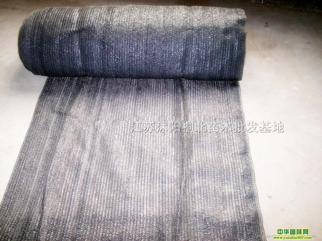 ꖂ㡢ꖾW(wng)B(yng)ߡo(h)þߡ