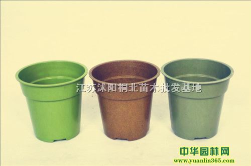 ϻմɻͨɽ⻨