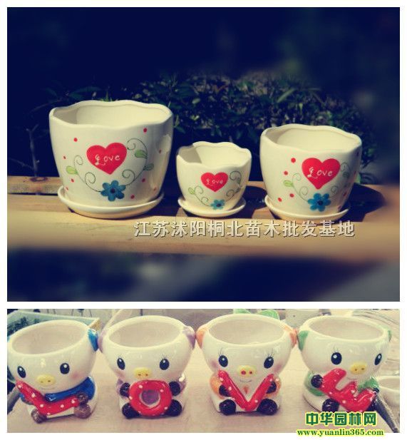 ϵСԌáͨϵСIB衢ľ