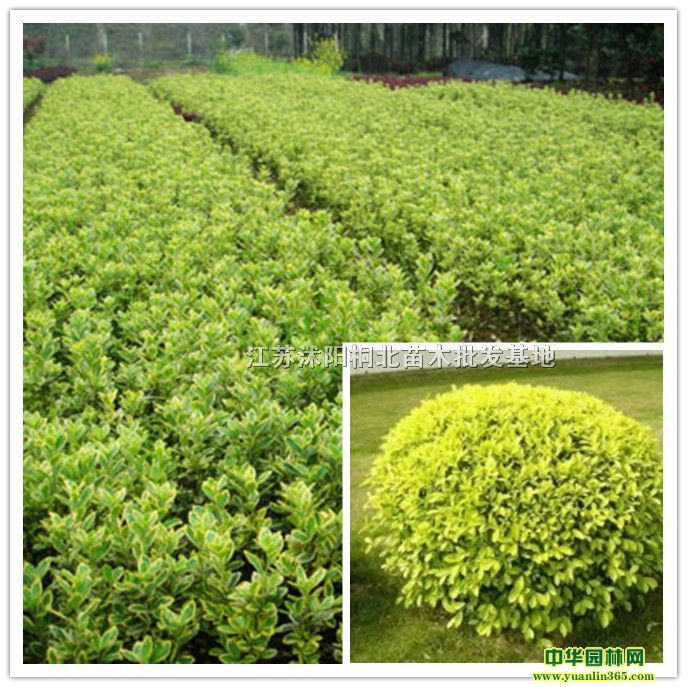 lìSޱ~Ůؑͩ~Ůؑľ