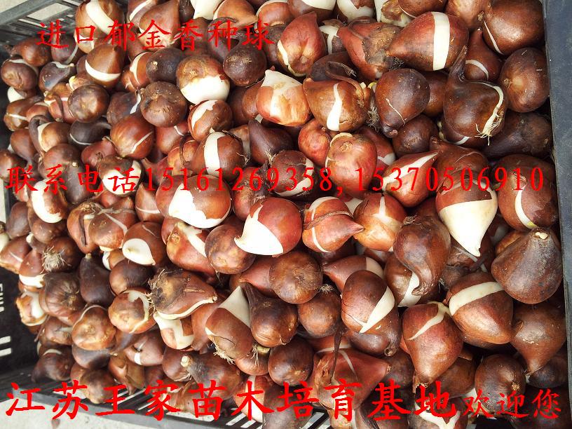 ܷN㡢L(fng)ӡٺϡˮɵ