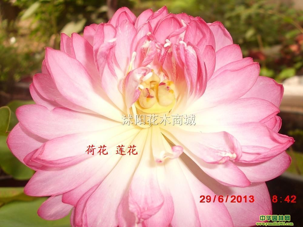 ˮܺɻɏɏź˯ɏɏNӡNN