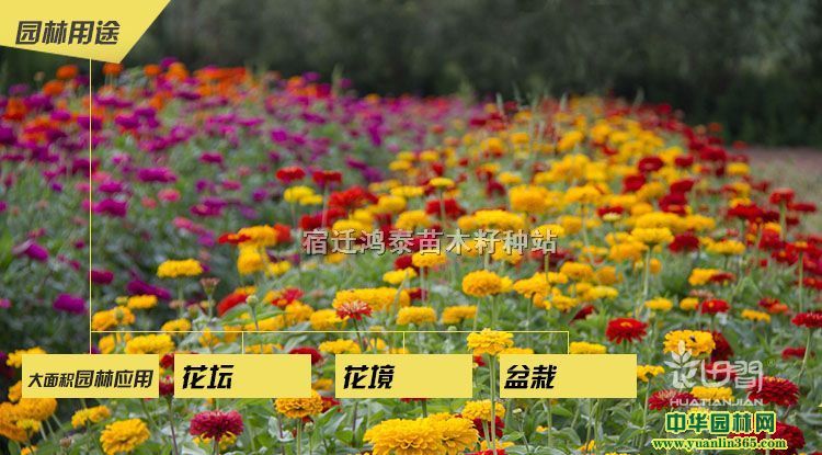 ղݷNӶX(qin)ղݷNl(f)(bo)r(ji)