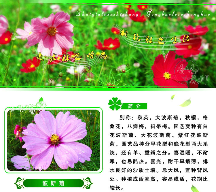 һﲨ˹շNӷNٵ؃rǶ