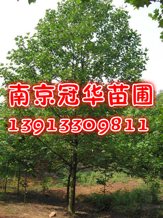 ؏10Rľ10Z鱮a(chn)ֱN