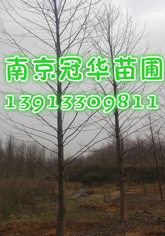 ؏14Z14RľƷȫڮa(chn)ֱN