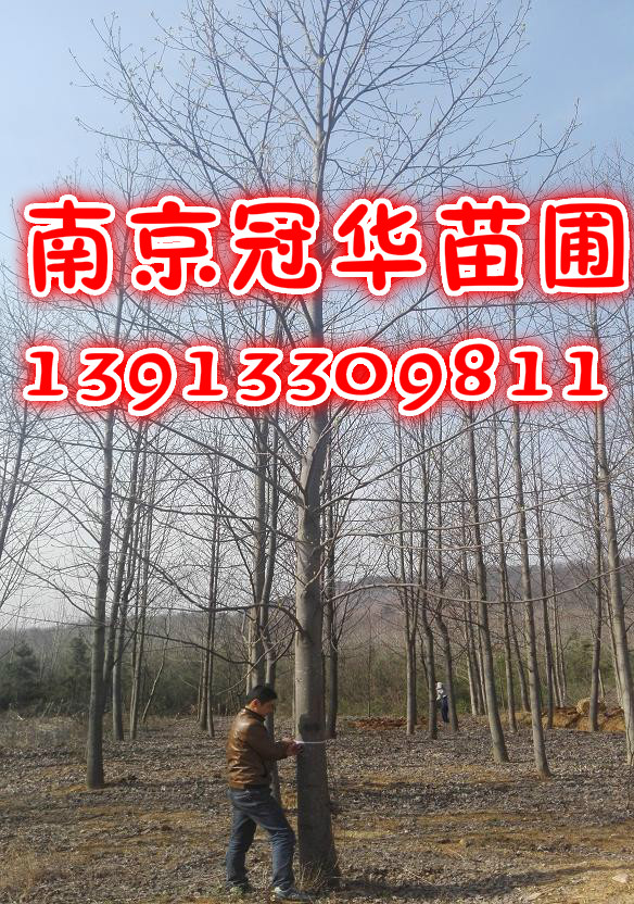 ؏15Rľ15Z鱽ؗU꾫Ʒ