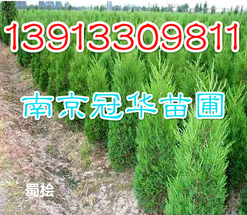 1u1.5u2u2.5u3ua(chn)ֱN