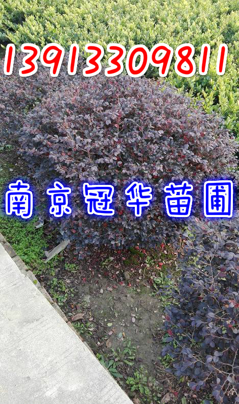 60708090ּt^ľa؃rֱN