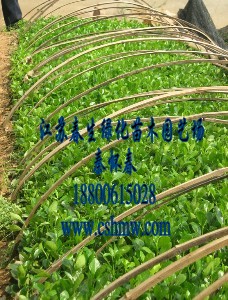 ~Sല~SС~SС