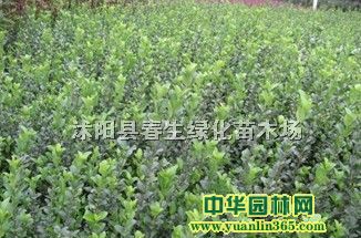 С~С硢~С硢ѿ硢ľɫK