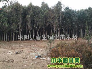 ߗUŮؑ~ŮؑľߗUŮؑߗUŮؑС~