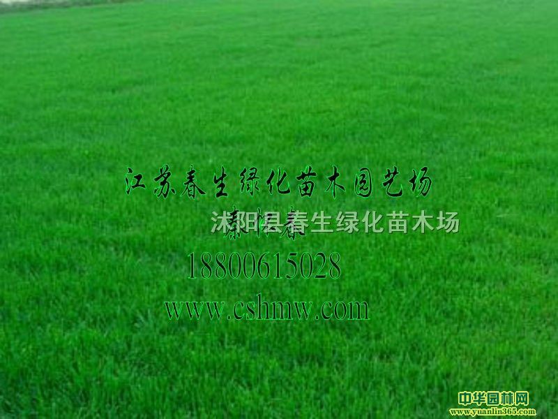 éƺNӡo(h)²ݷNļƤѡéN