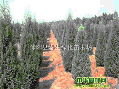 ϙuظ30-300ס̰ءAءɘ䡢