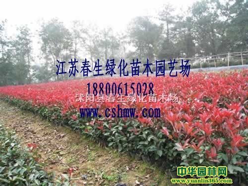 t~ʯ骹硢Ut~ʯ骘䡢t~ʯ򡢼t~ʯС