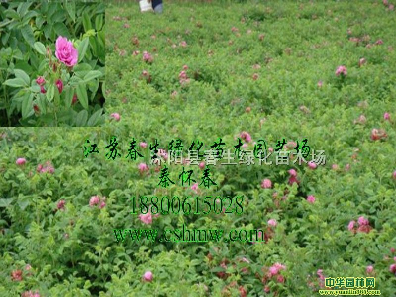 õ廨硢õС硢޽õ塢õ